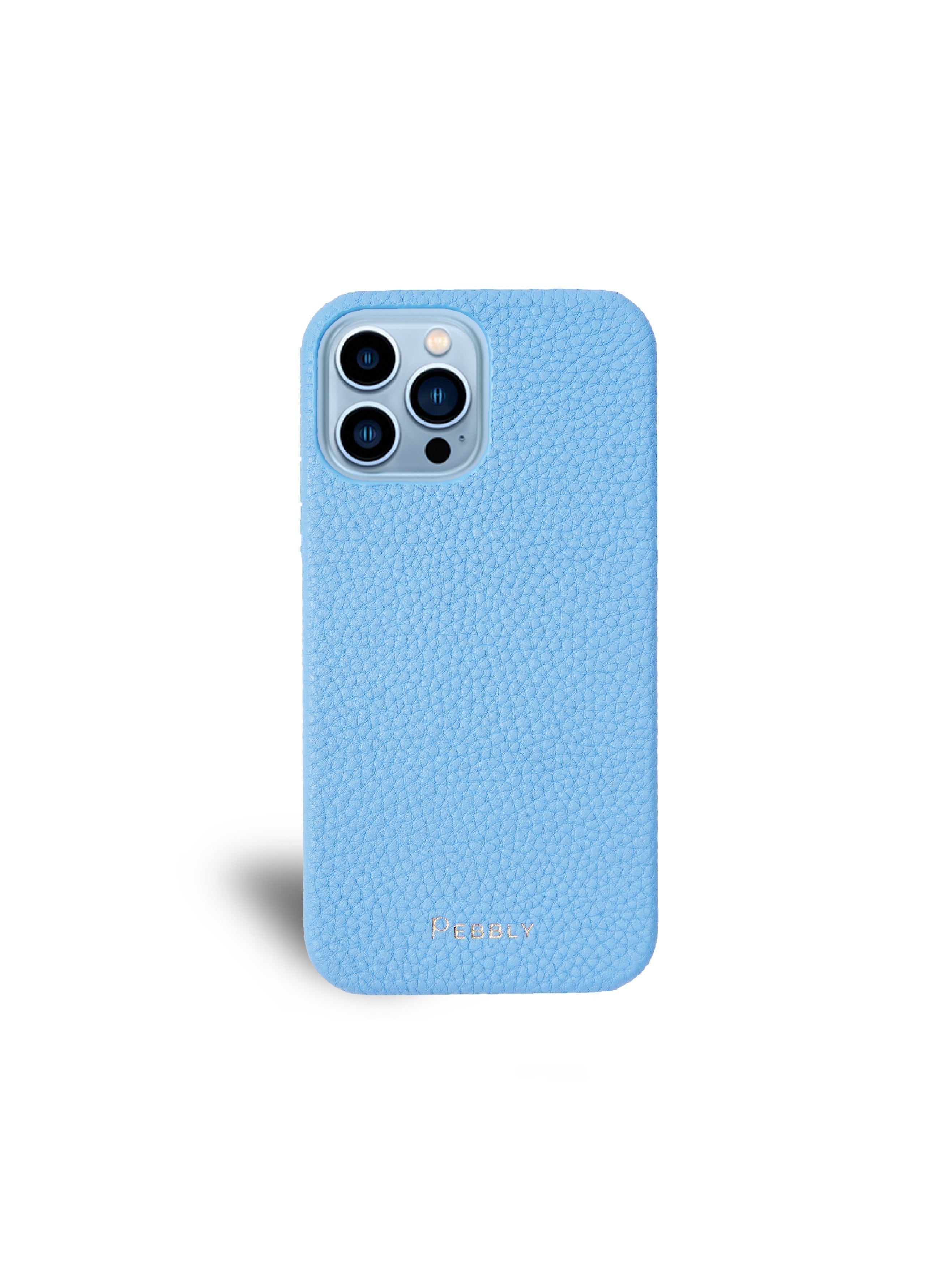 Sky Blue Pebbled Leather iPhone 11 Pro Max Case